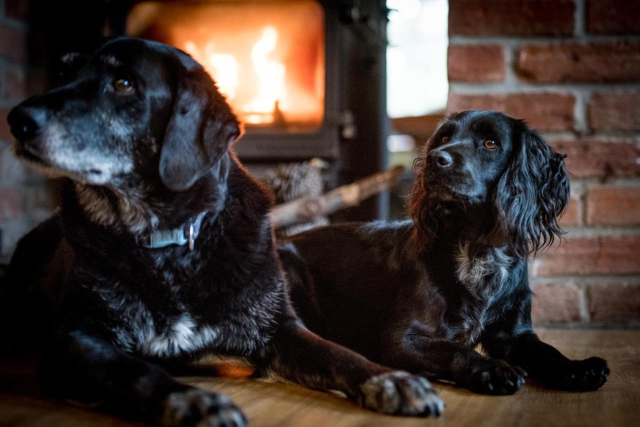 ホテル The Kings Arms Otterton バッドリー・ソルタートン エクステリア 写真